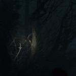 Blair Witch Gameplay