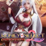 Honey Select 2 Libido Cover PC