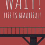 Cover Wait Life is Beautiful PC