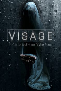 VISAGE 2020