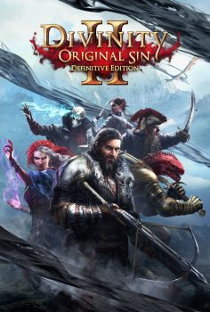 DIVINITY ORIGINAL SIN 2 ONLINE